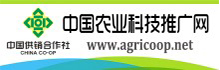 中国农业推广网